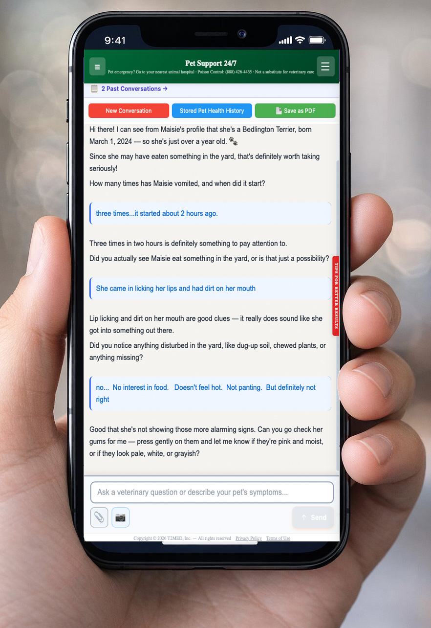 Pet Support 24/7 on mobile — ready when you need it